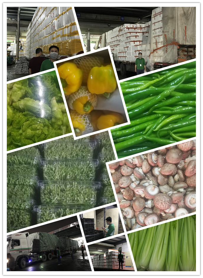 AG真人国际(中国) - 官方网站