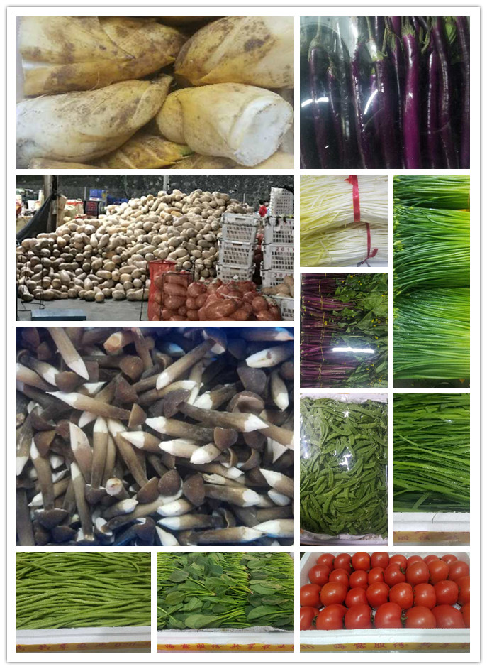 AG真人国际(中国) - 官方网站