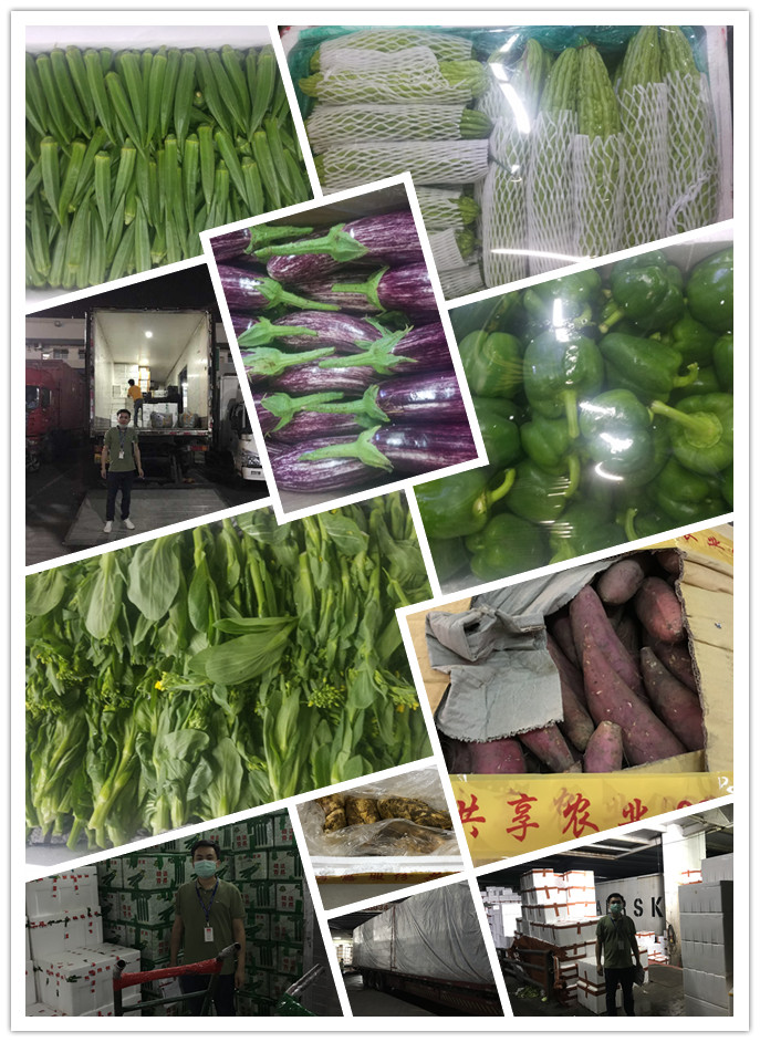 AG真人国际(中国) - 官方网站