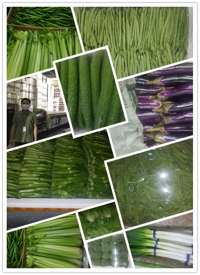 AG真人国际(中国) - 官方网站