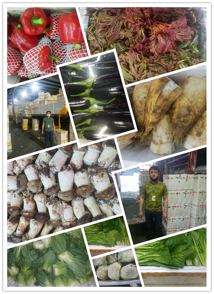 AG真人国际(中国) - 官方网站