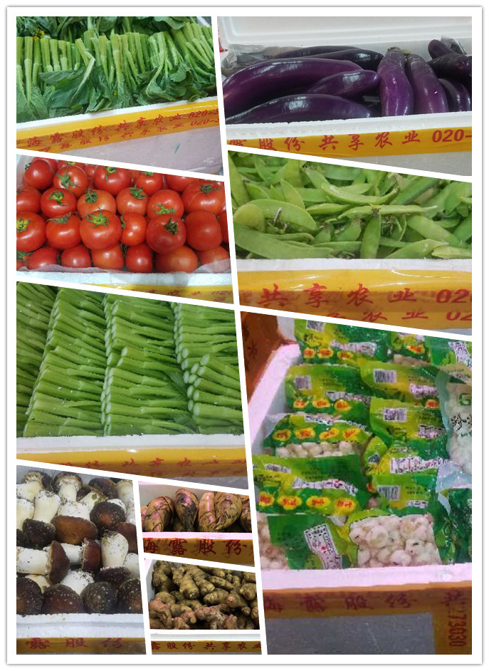 AG真人国际(中国) - 官方网站