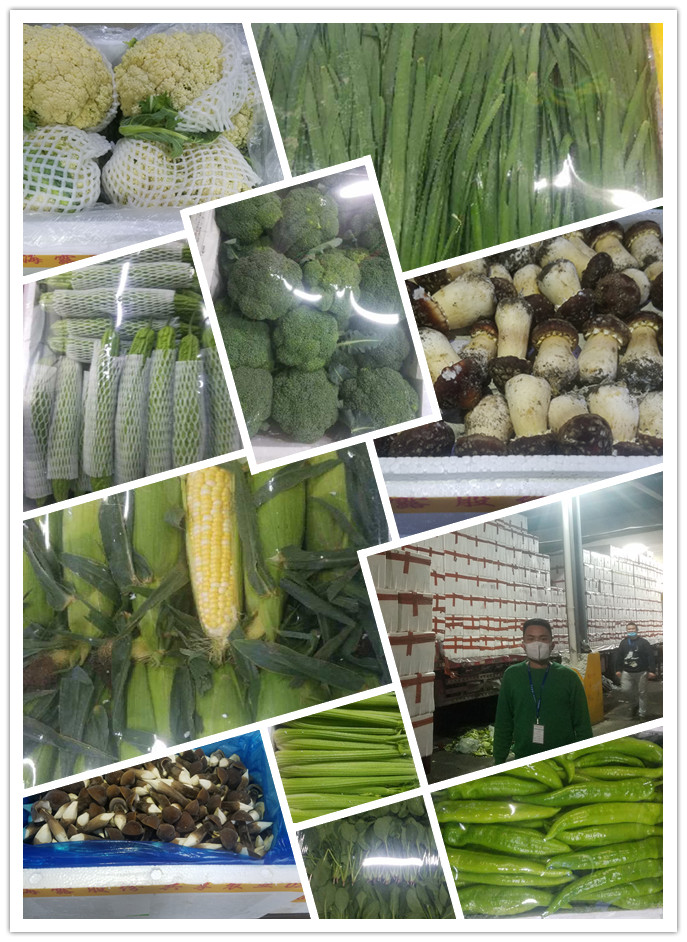 AG真人国际(中国) - 官方网站