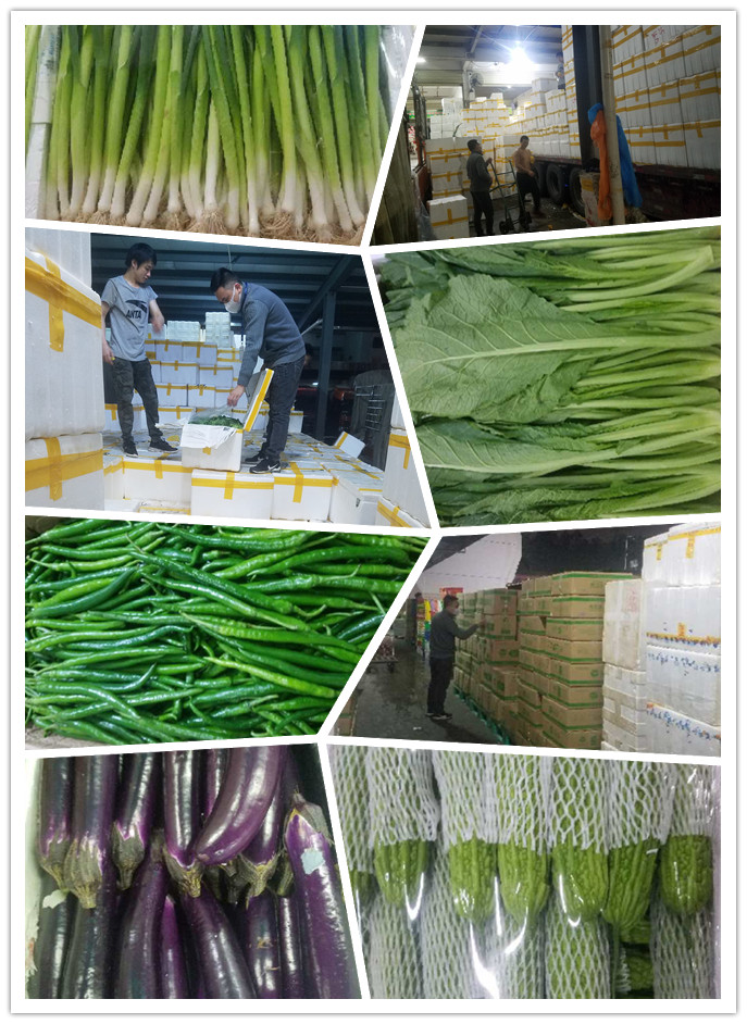 AG真人国际(中国) - 官方网站