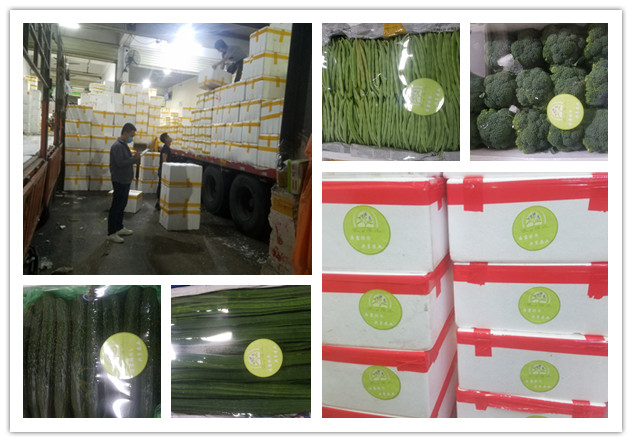 AG真人国际(中国) - 官方网站