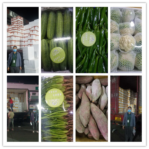 AG真人国际(中国) - 官方网站