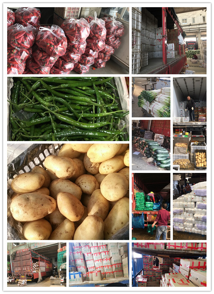 AG真人国际(中国) - 官方网站