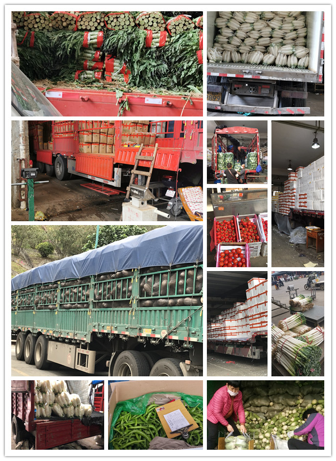 AG真人国际(中国) - 官方网站