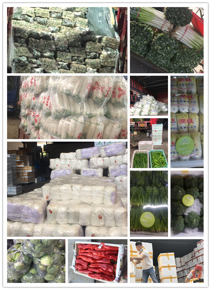 AG真人国际(中国) - 官方网站