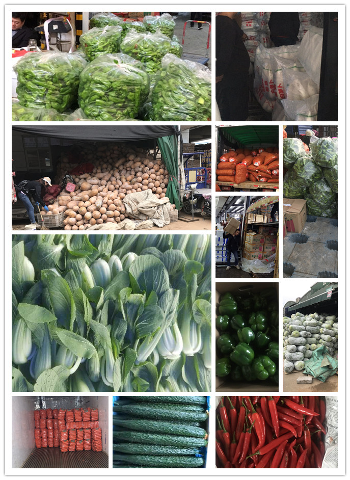 AG真人国际(中国) - 官方网站