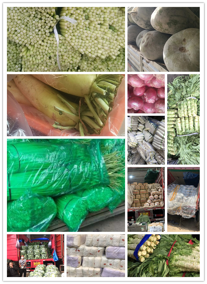 AG真人国际(中国) - 官方网站