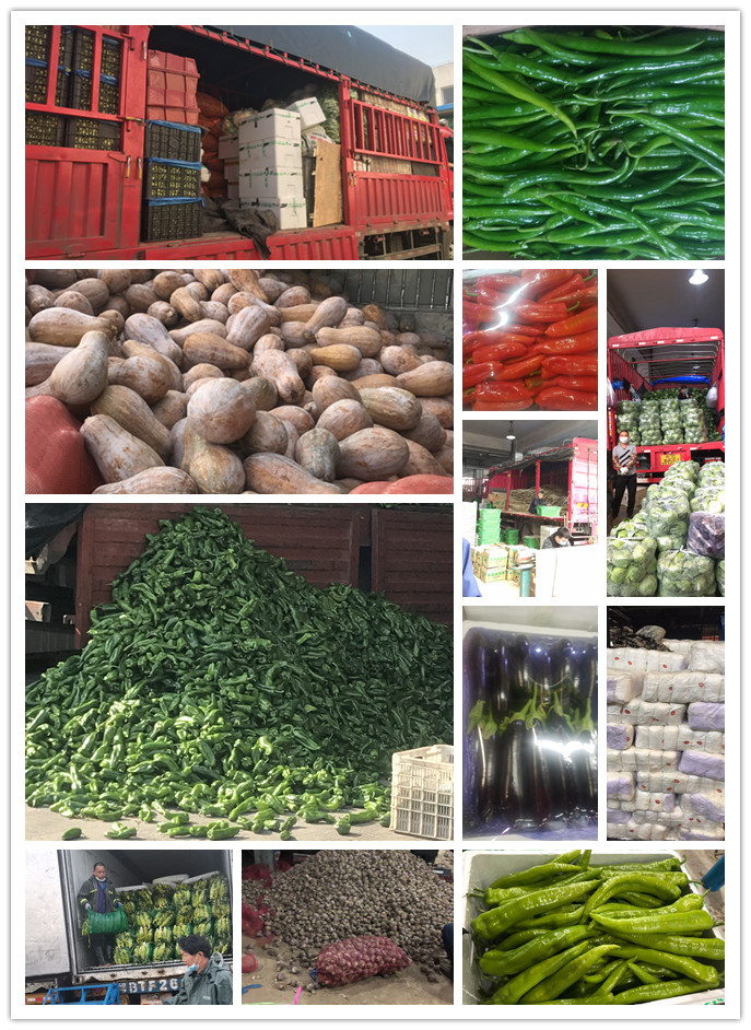 AG真人国际(中国) - 官方网站