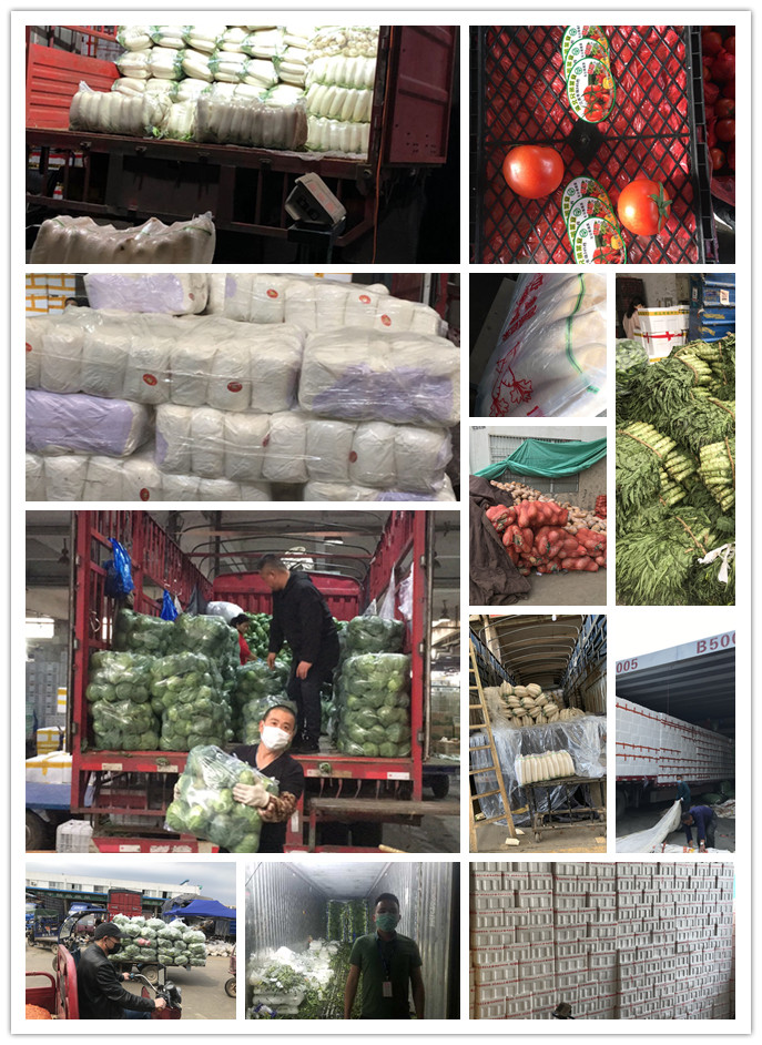 AG真人国际(中国) - 官方网站