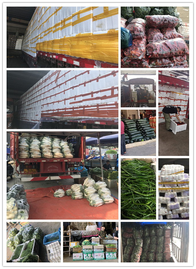 AG真人国际(中国) - 官方网站