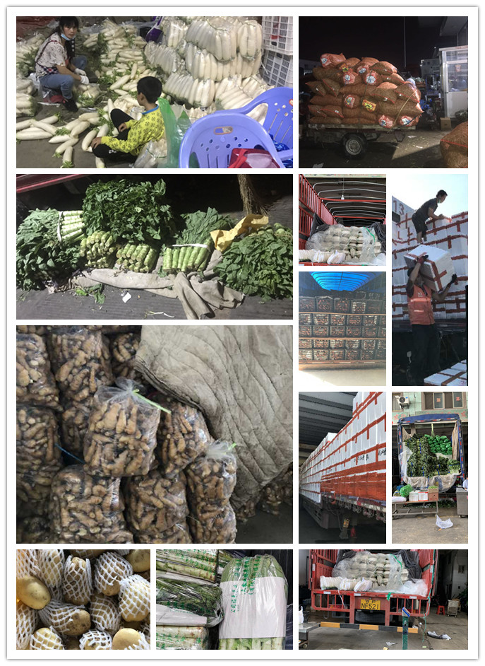 AG真人国际(中国) - 官方网站