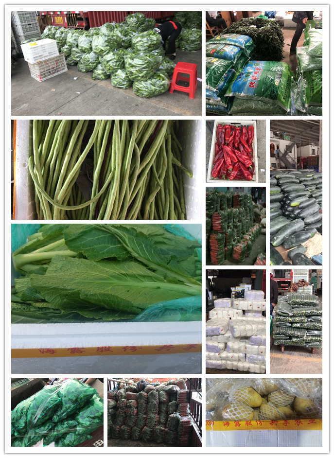 AG真人国际(中国) - 官方网站