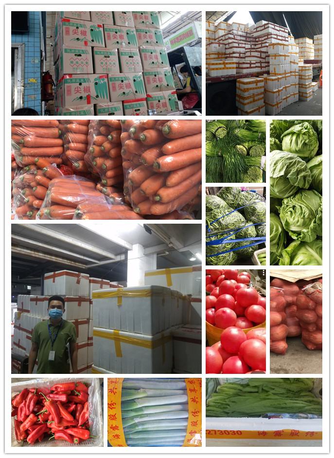 AG真人国际(中国) - 官方网站