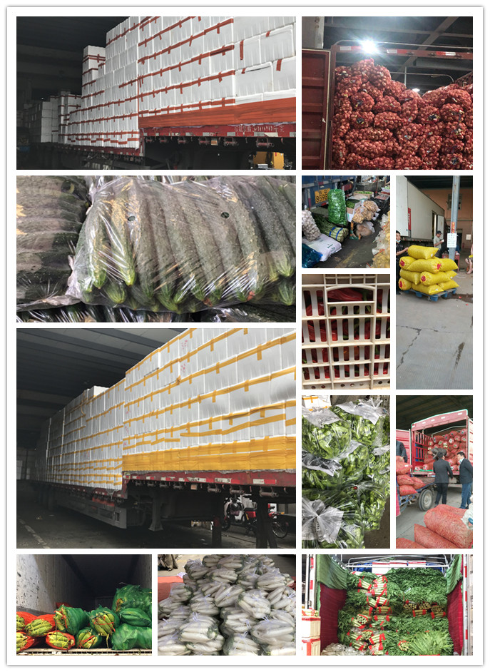 AG真人国际(中国) - 官方网站