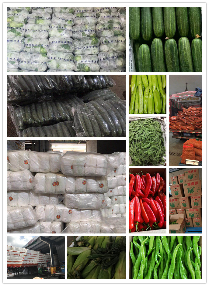 AG真人国际(中国) - 官方网站