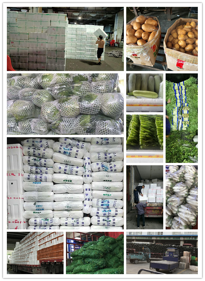 AG真人国际(中国) - 官方网站