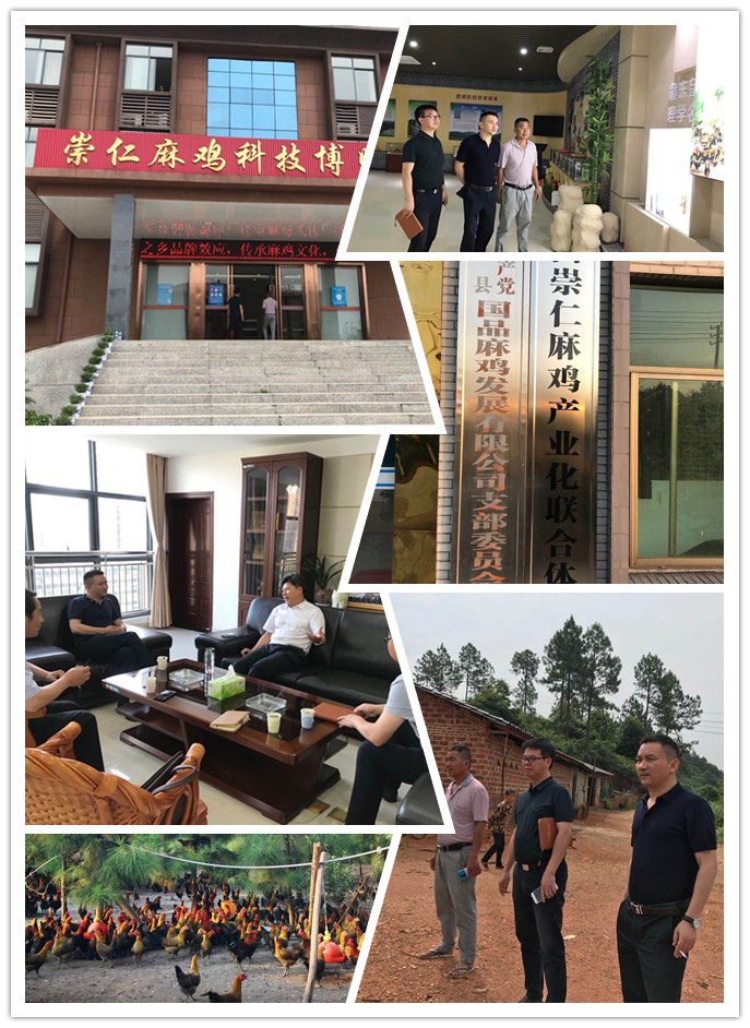 AG真人国际(中国) - 官方网站