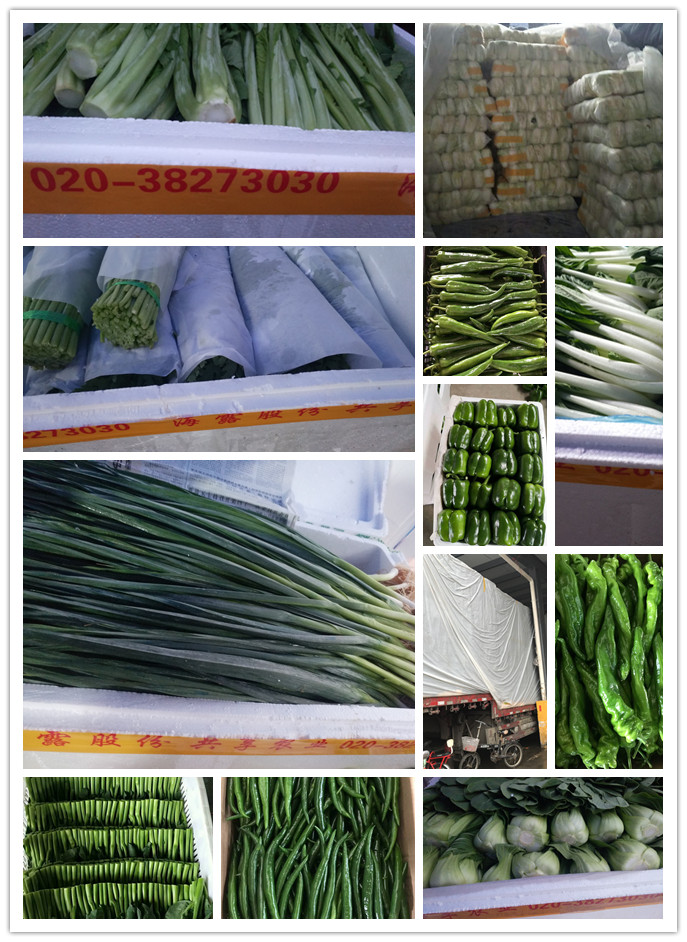 AG真人国际(中国) - 官方网站