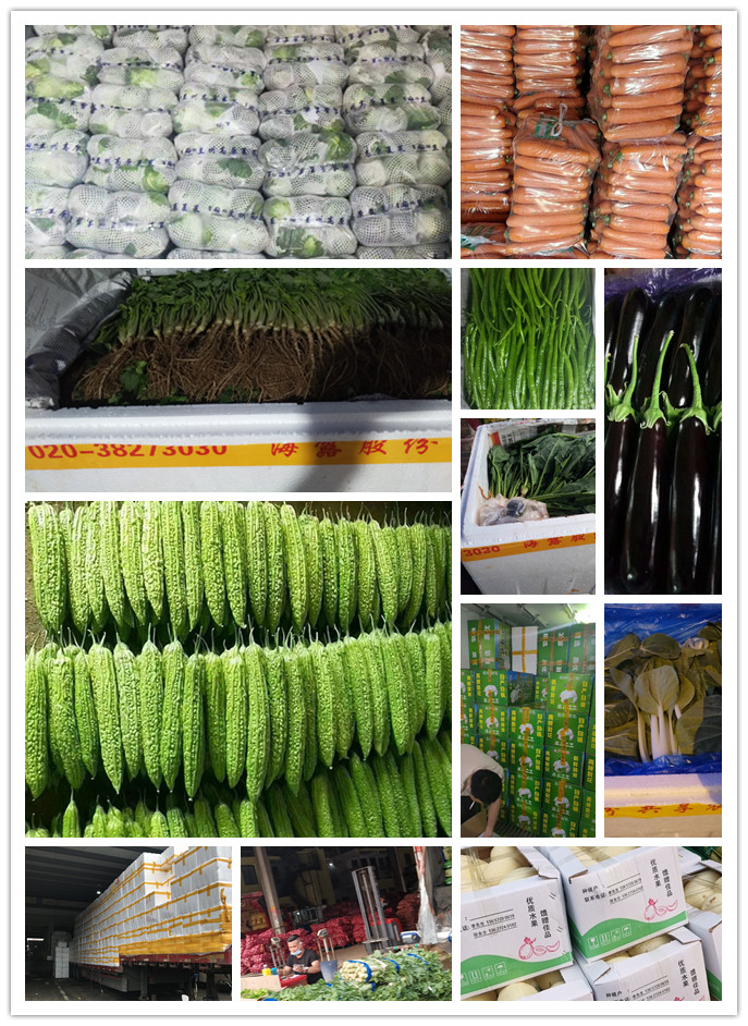 AG真人国际(中国) - 官方网站