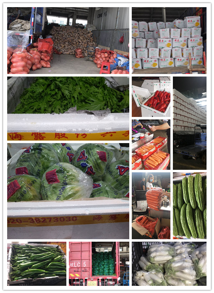 AG真人国际(中国) - 官方网站