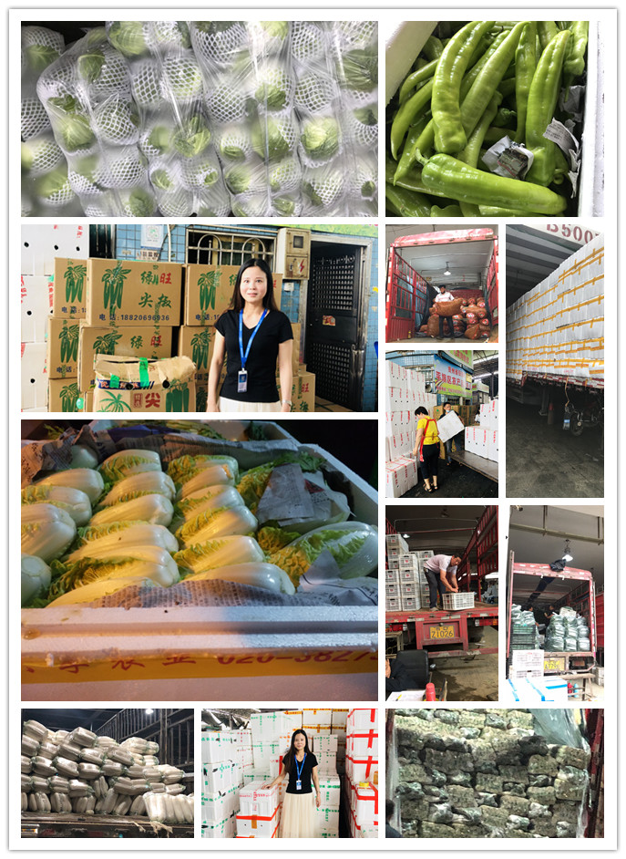 AG真人国际(中国) - 官方网站