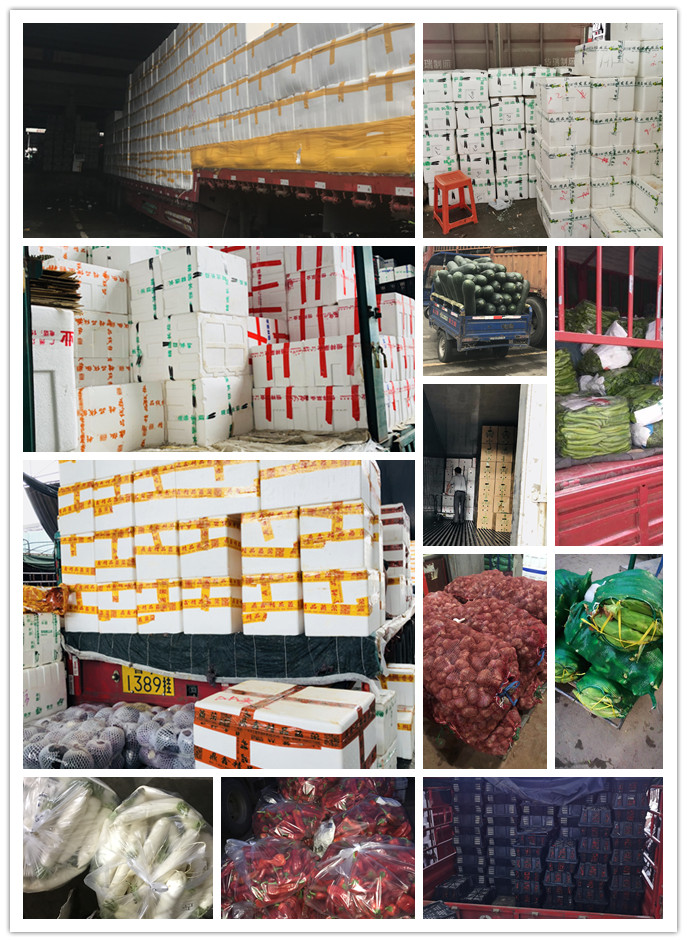 AG真人国际(中国) - 官方网站