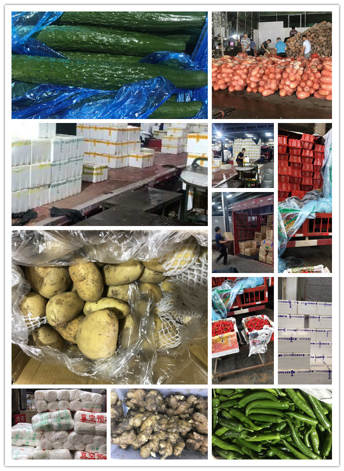 AG真人国际(中国) - 官方网站