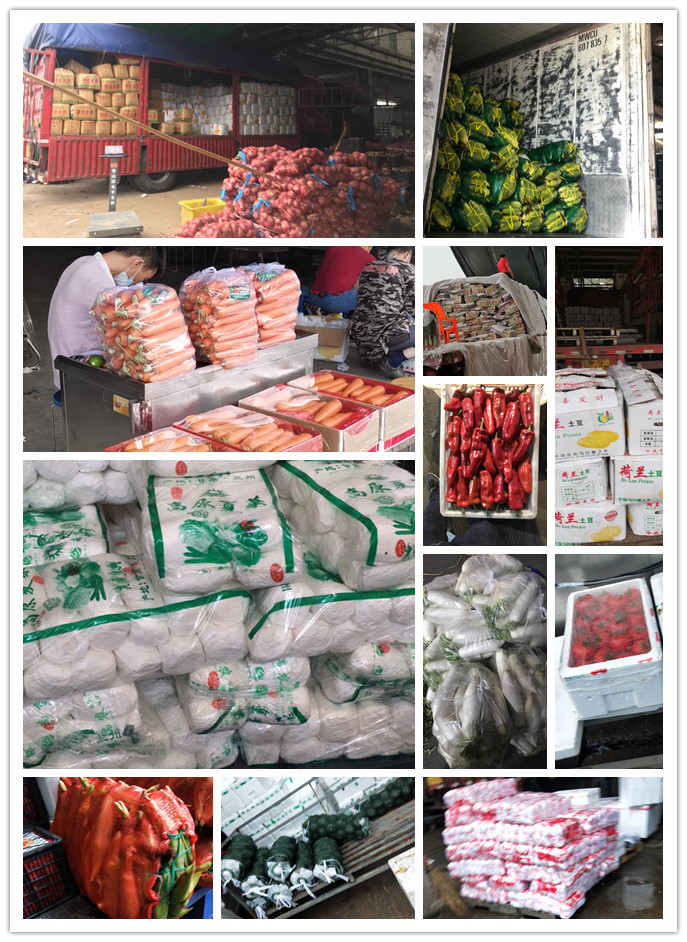 AG真人国际(中国) - 官方网站