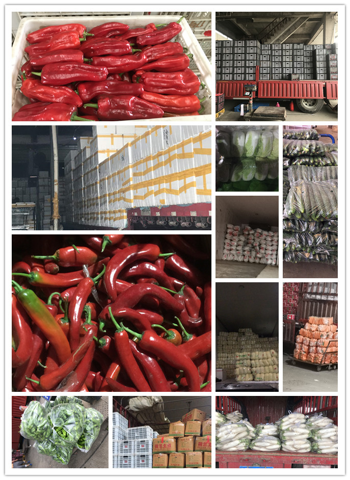 AG真人国际(中国) - 官方网站