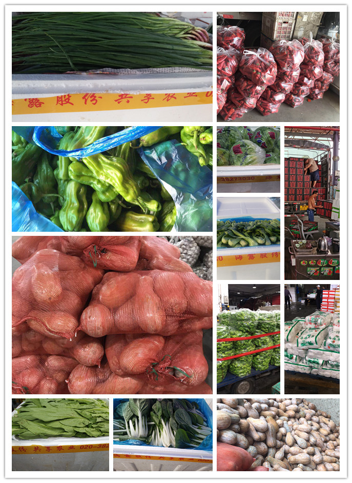 AG真人国际(中国) - 官方网站