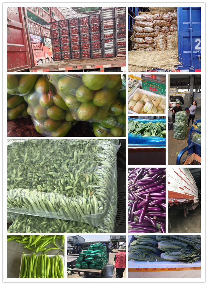 AG真人国际(中国) - 官方网站