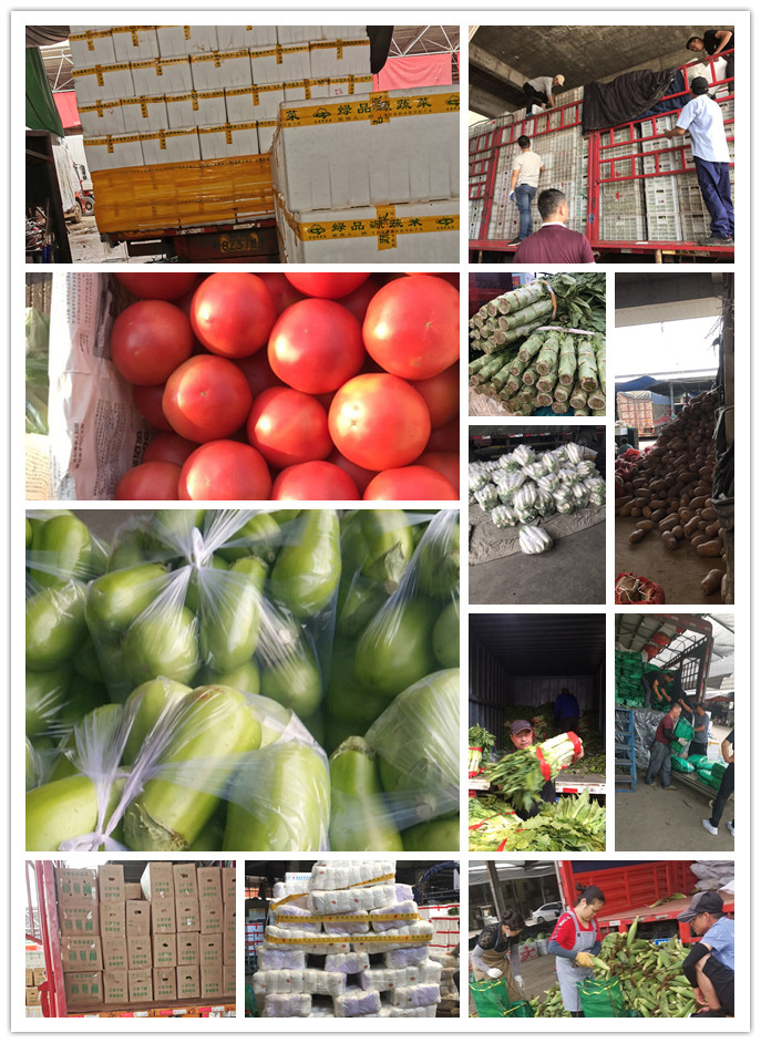 AG真人国际(中国) - 官方网站