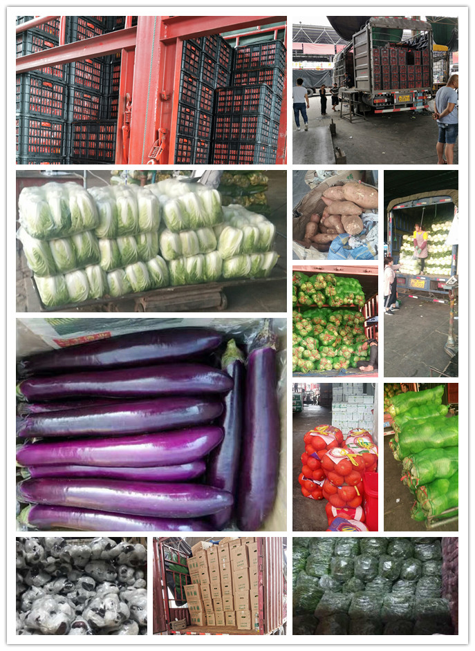 AG真人国际(中国) - 官方网站