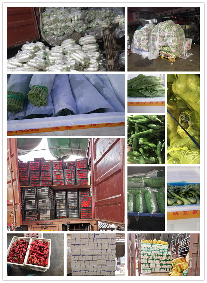 AG真人国际(中国) - 官方网站