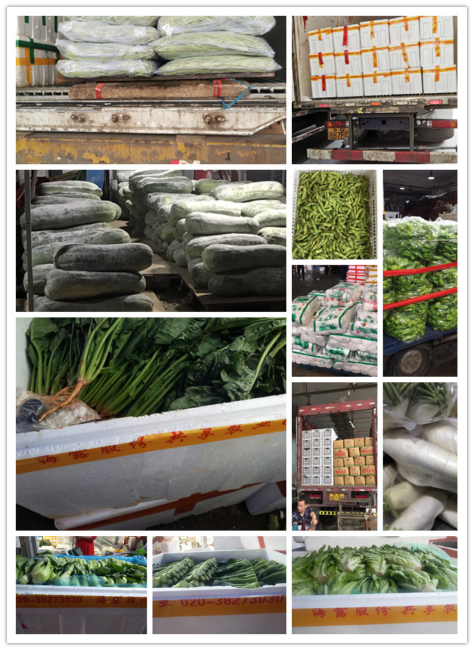 AG真人国际(中国) - 官方网站