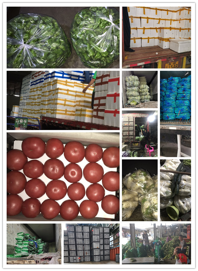 AG真人国际(中国) - 官方网站