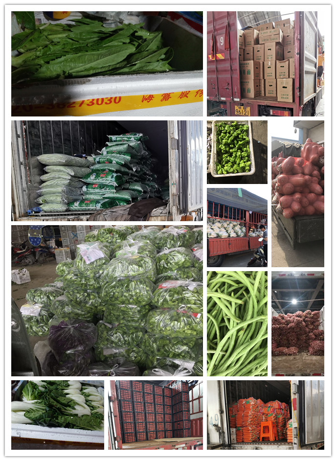 AG真人国际(中国) - 官方网站