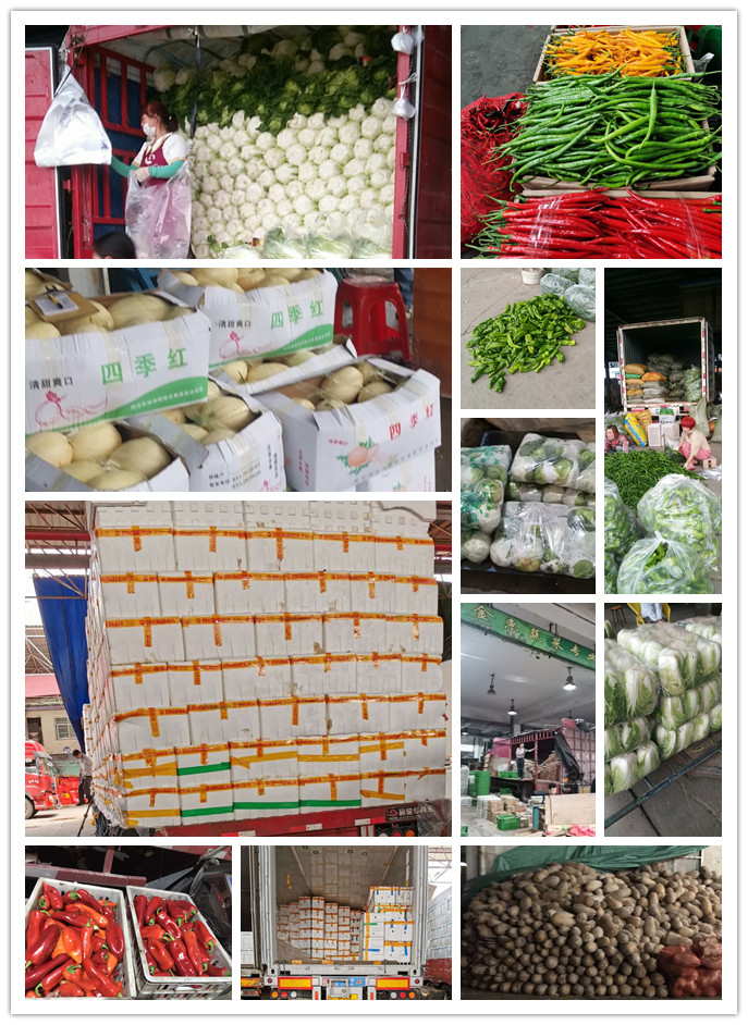 AG真人国际(中国) - 官方网站