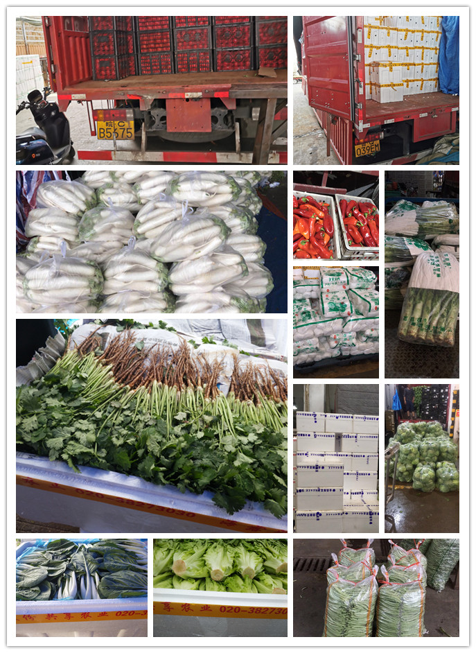 AG真人国际(中国) - 官方网站