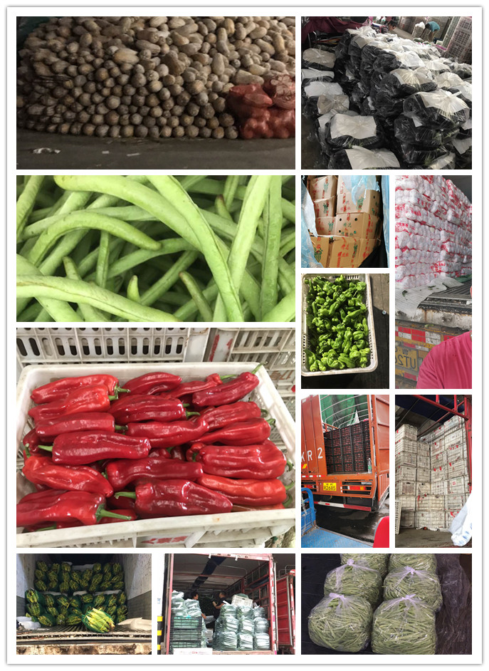 AG真人国际(中国) - 官方网站