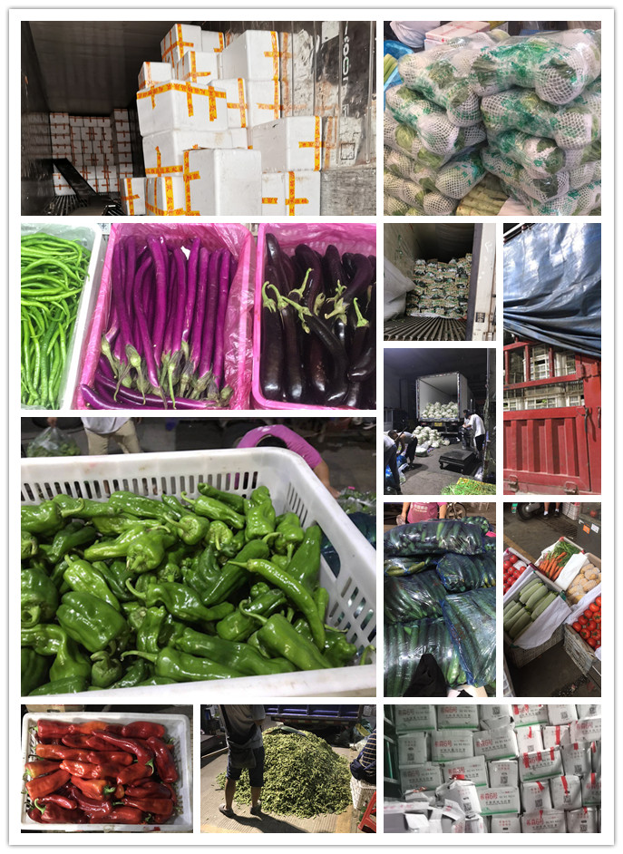 AG真人国际(中国) - 官方网站