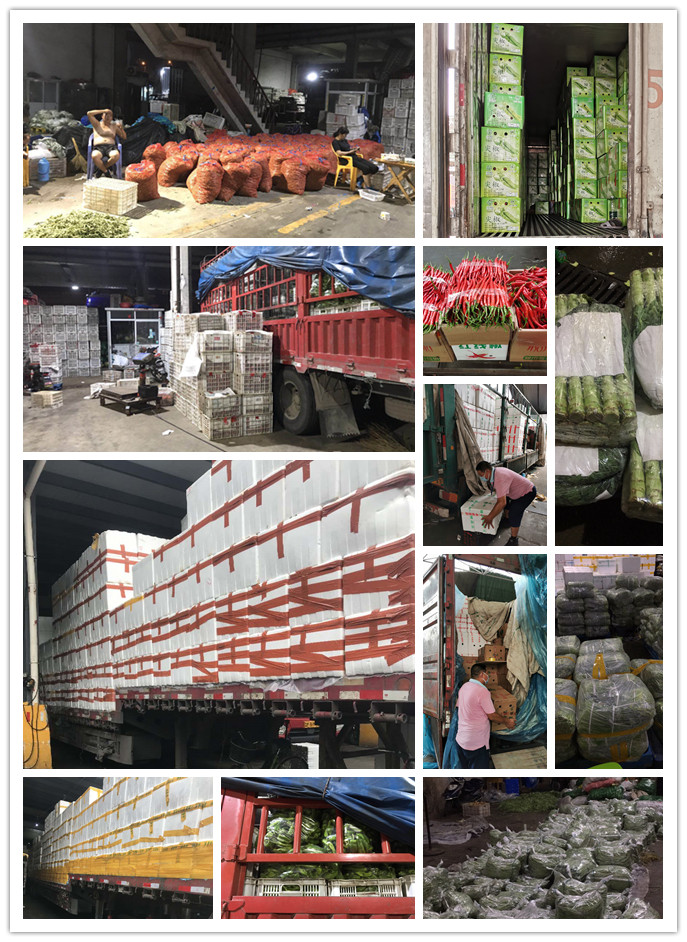 AG真人国际(中国) - 官方网站