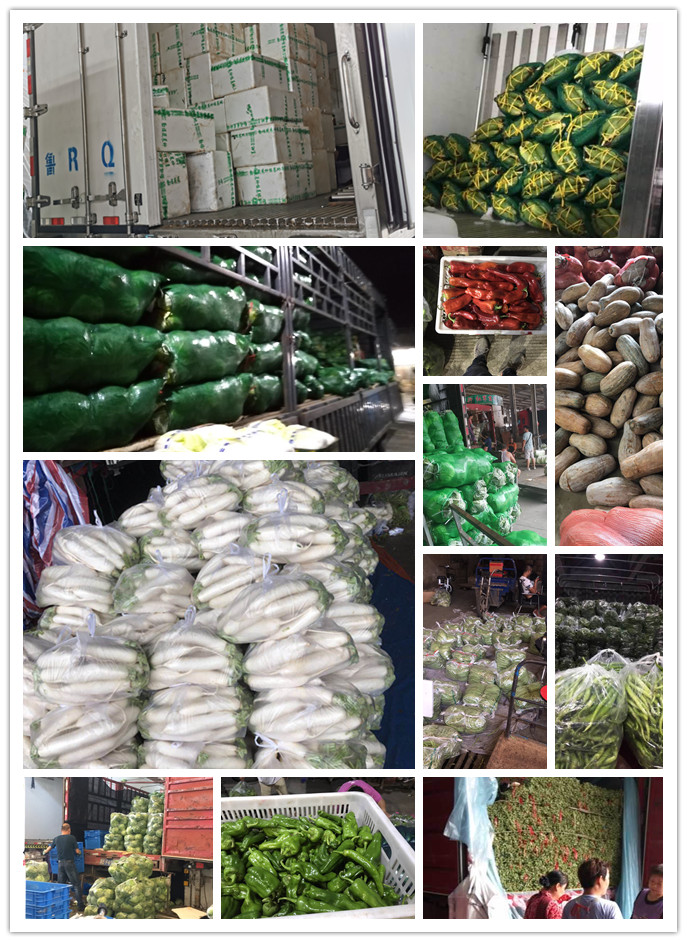 AG真人国际(中国) - 官方网站