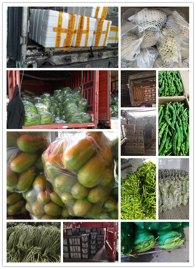 AG真人国际(中国) - 官方网站