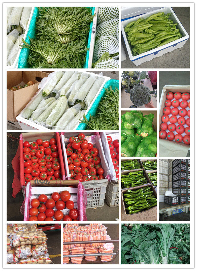 AG真人国际(中国) - 官方网站