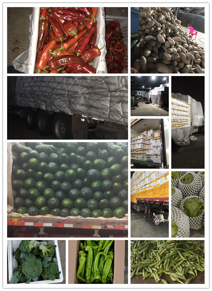 AG真人国际(中国) - 官方网站